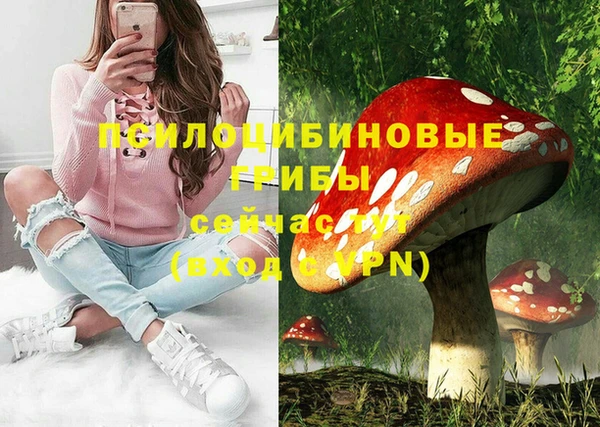 тгк Протвино