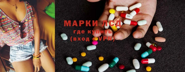 хмурый Алзамай