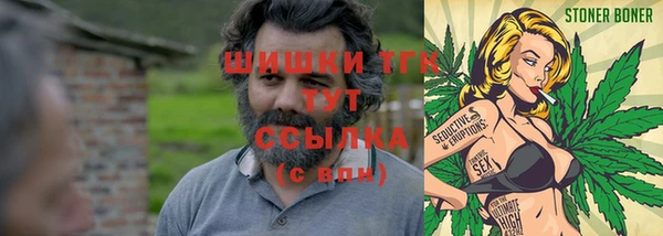 хмурый Алзамай