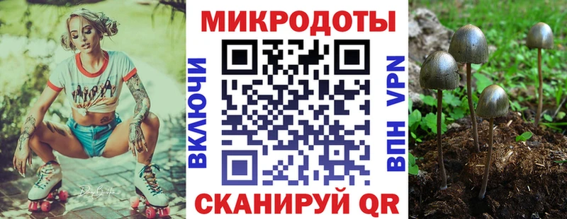 Галлюциногенные грибы мицелий  закладки  гидра онион  Николаевск 